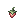 C Strawberry in Mouth