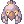 C Violet Macaw