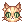 C Orange Tabby Cat