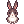 C Panda Rabbit
