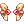 C Citrus Ribbon