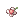 Romantic White Flower