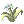 Illusion Flower