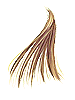 Golden Hair