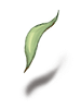 Romantic Leaf