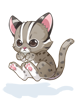 C Baby Leopard Cat