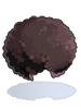 C Bloom Afro