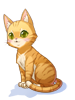 C Orange Tabby Cat
