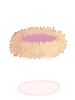C Bird Nest