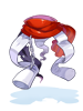 C Disguise Mantle