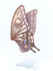 Giant Butterfly Wing