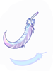Feather of Birds