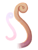 Yoyo Tail