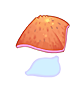 Crab Shell
